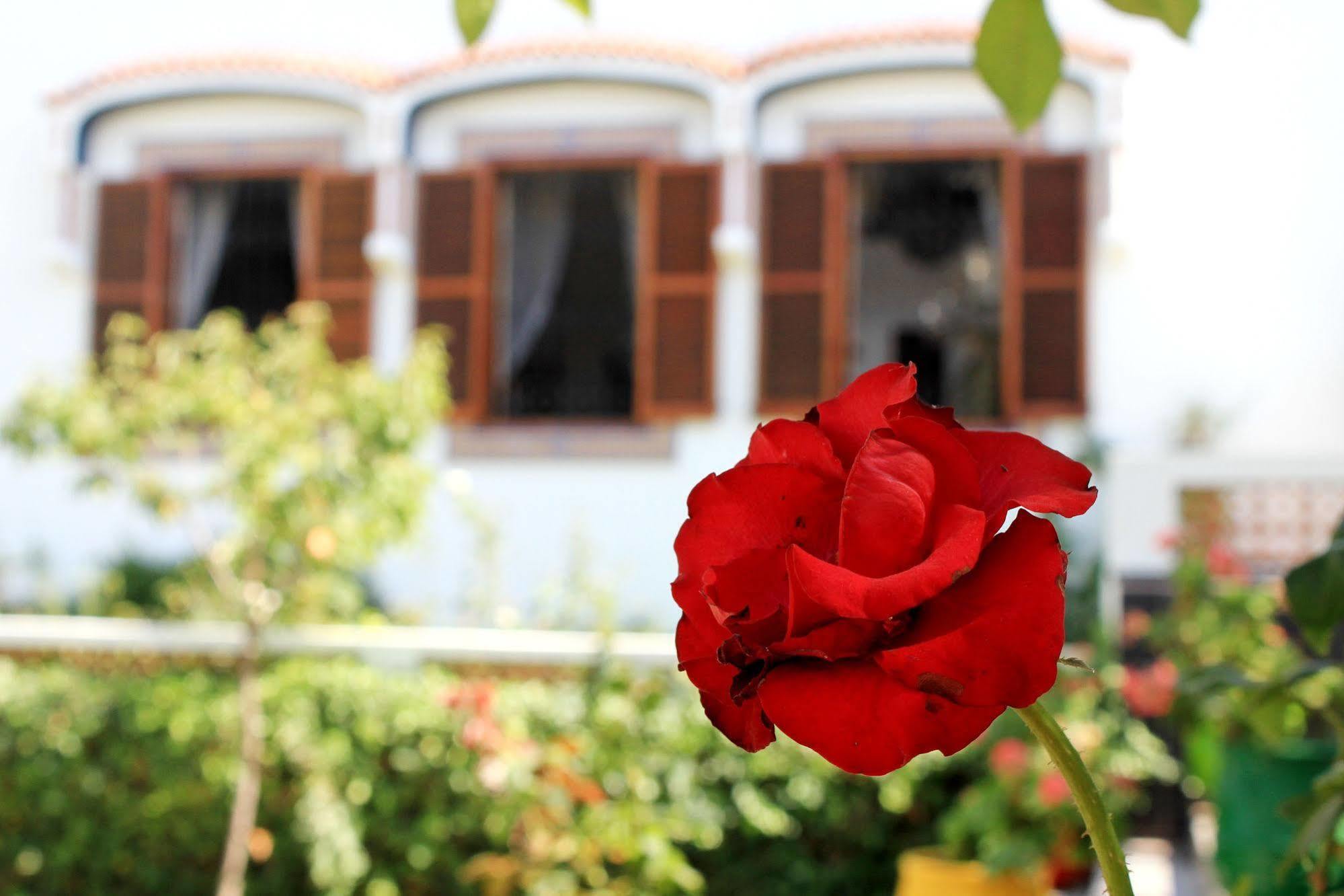 Riad Dar Achaach Tétouan Dış mekan fotoğraf