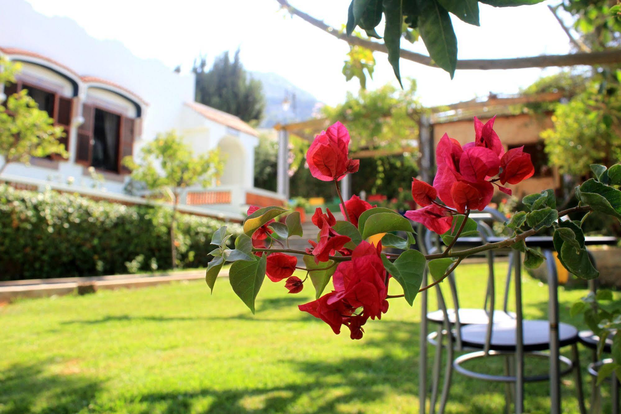 Riad Dar Achaach Tétouan Dış mekan fotoğraf